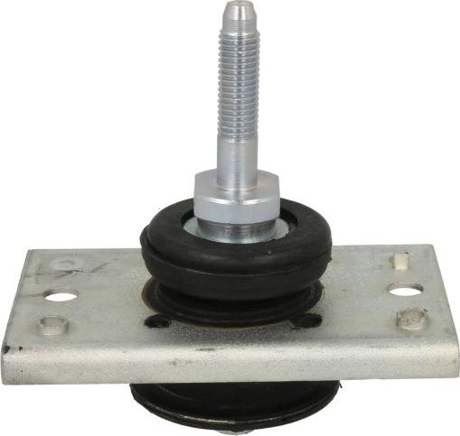 Delphi TEM026 - Подушка, підвіска двигуна autocars.com.ua