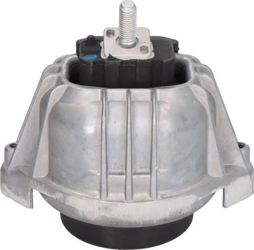 Delphi TEM099 - Подушка, підвіска двигуна autocars.com.ua