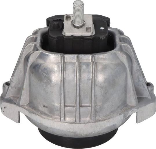 Delphi TEM100 - Подушка, підвіска двигуна autocars.com.ua