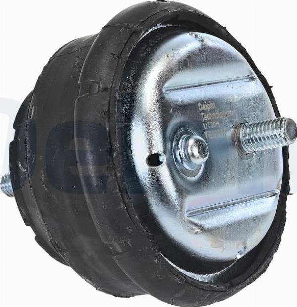 Delphi TEM257 - Подушка, підвіска двигуна autocars.com.ua