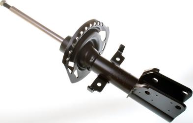 Denckermann DSB168G - Амортизатор autocars.com.ua