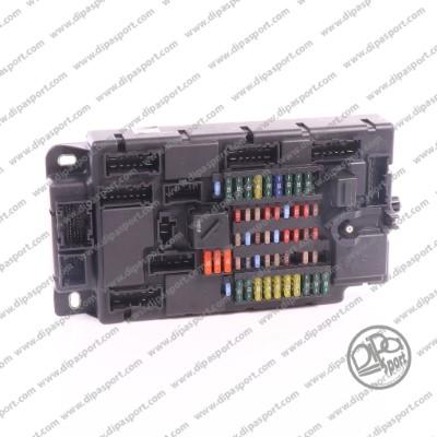 Dipasport BODY166R - Блок управління, управління двигуном ЕБУ autocars.com.ua