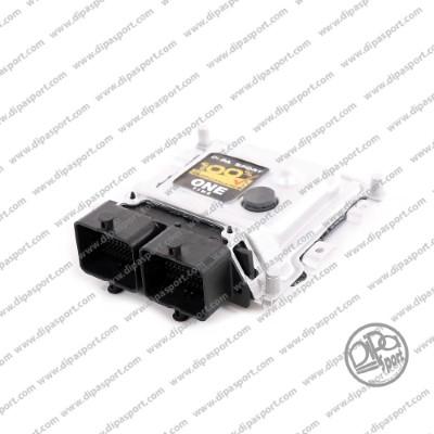 Dipasport EBME1730350R - Блок управління, впорскування палива autocars.com.ua