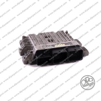 Dipasport EDSID209002R - Блок управління, управління двигуном ЕБУ autocars.com.ua
