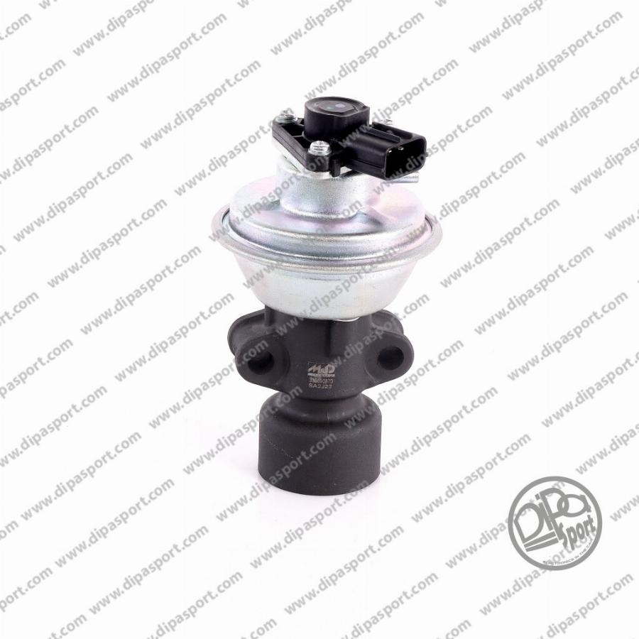 Dipasport EGR487MTDN - Клапан повернення ОГ autocars.com.ua