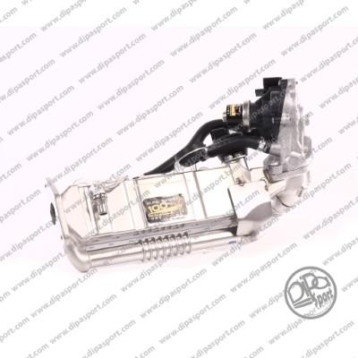 Dipasport EGR491N - Патрубок дросельної заслінки autocars.com.ua