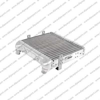 Dipasport RAO067N - Масляний радіатор, рухове масло autocars.com.ua