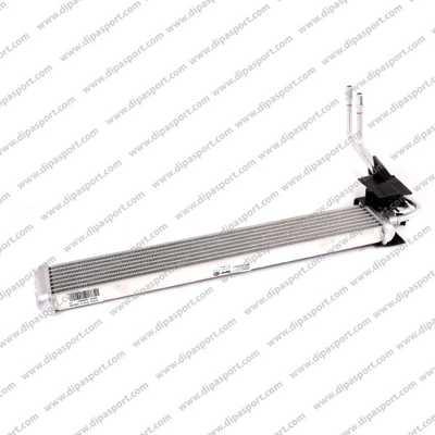 Dipasport RAO115N - Масляний радіатор, автоматична коробка передач autocars.com.ua