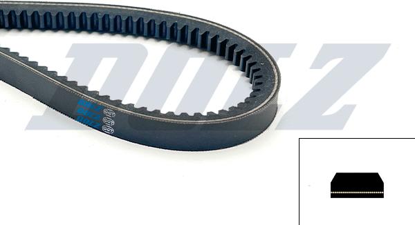 DOLZ 05KD13AS670 - Клиновий ремінь autocars.com.ua