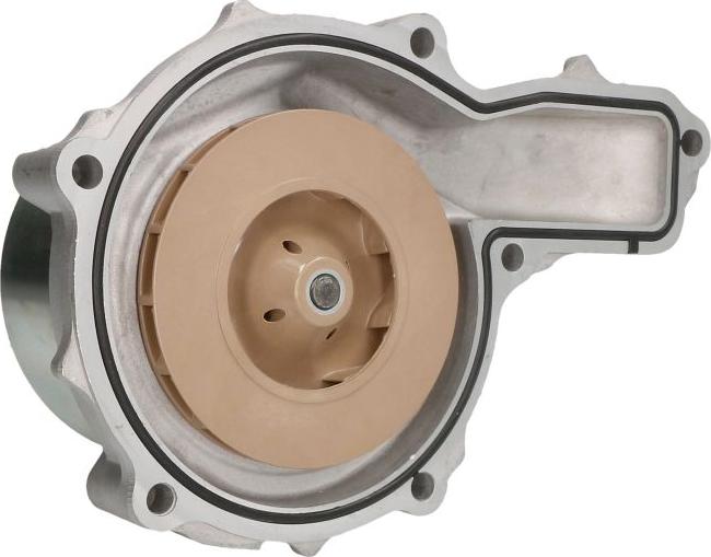 DOLZ R618 - Водяний насос autocars.com.ua