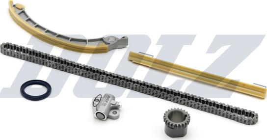 DOLZ SKCS198 - Комплект ланцюга приводу распредвала autocars.com.ua