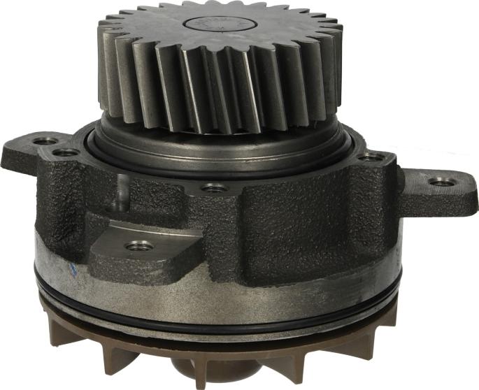 DOLZ V207 - Водяний насос autocars.com.ua