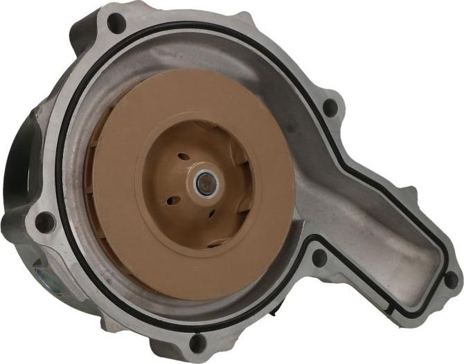 DOLZ V501 - Водяний насос autocars.com.ua