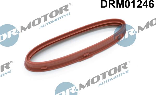 Dr.Motor DRM01246 - Прокладка, впускний колектор autocars.com.ua