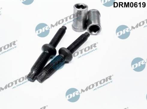 Dr.Motor DRM0619 - Комплект прокладок, форсунка autocars.com.ua