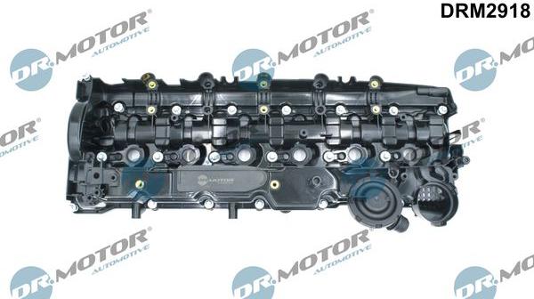 Dr.Motor DRM2918 - Кришка головки циліндра autocars.com.ua