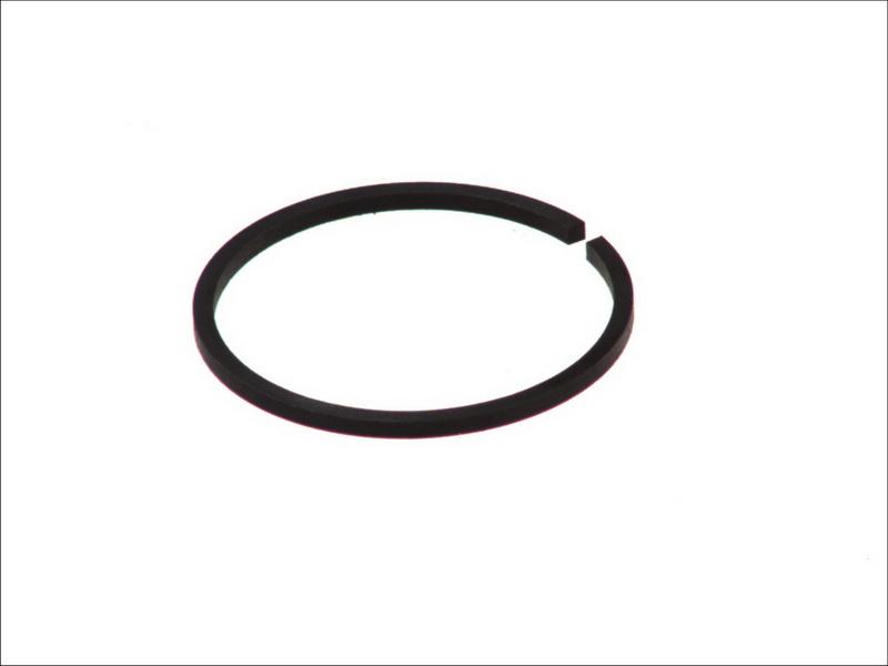 DT Spare Parts 1.10582 - Кільце ущільнювача, випускний колектор autocars.com.ua