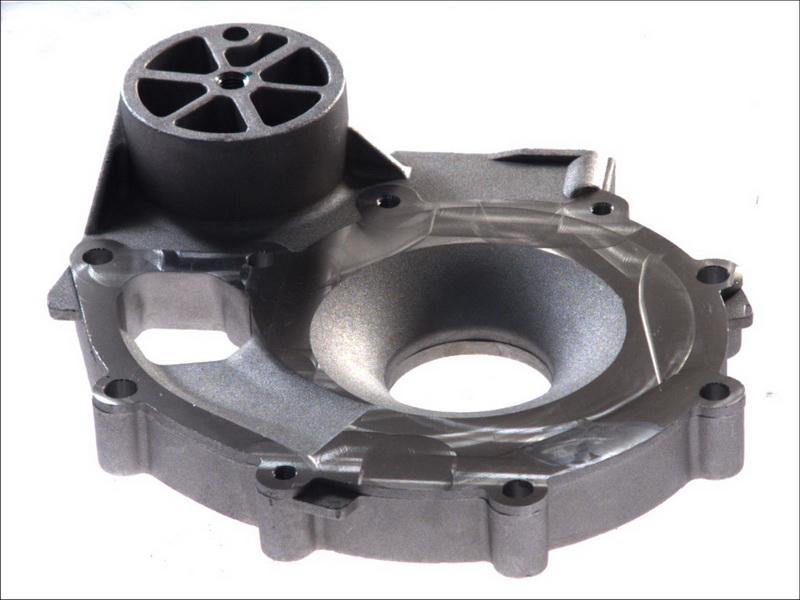 DT Spare Parts 1.11165 - Корпус, водяний насос autocars.com.ua