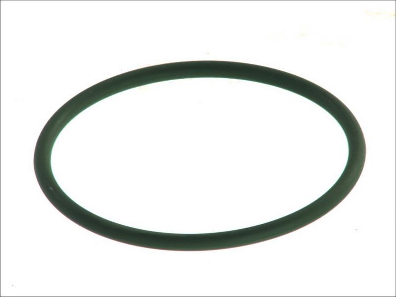 DT Spare Parts 118369 - Кільце ущільнювача, гідравлічний фільтр autocars.com.ua