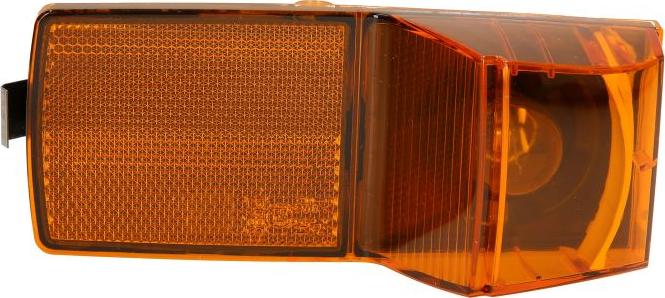 DT Spare Parts 121824 - Бічний ліхтар, покажчик повороту autocars.com.ua