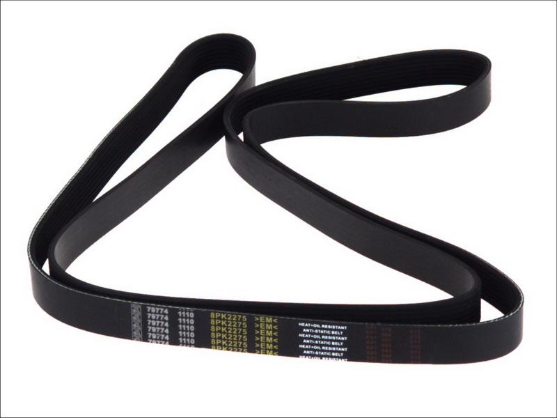 DT Spare Parts 1.21858 - Поликлиновой ремінь autocars.com.ua