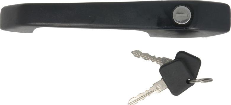 DT Spare Parts 1.22006 - Ручка двері autocars.com.ua