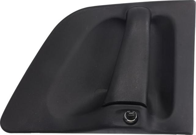 DT Spare Parts 1.22157 - Ручка двері autocars.com.ua