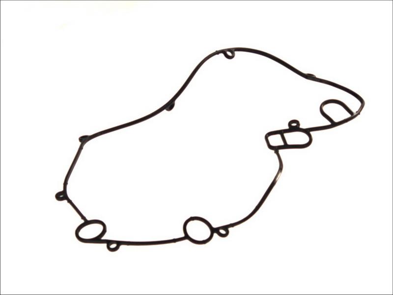 DT Spare Parts 1.24115 - Прокладка, масляний радіатор autocars.com.ua