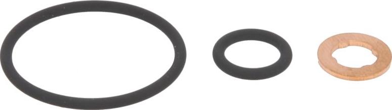 DT Spare Parts 1.31250 - Ремкомплект, розпилювач autocars.com.ua