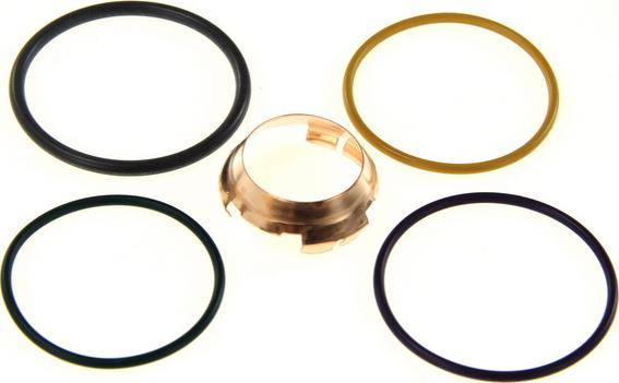 DT Spare Parts 1.31294 - Ремкомплект, розпилювач autocars.com.ua