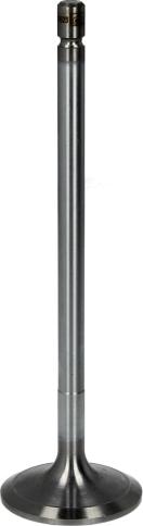 DT Spare Parts 2.10002 - Впускний клапан autocars.com.ua