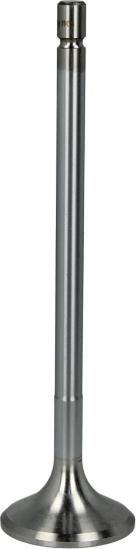 DT Spare Parts 2.10003 - Випускний клапан autocars.com.ua