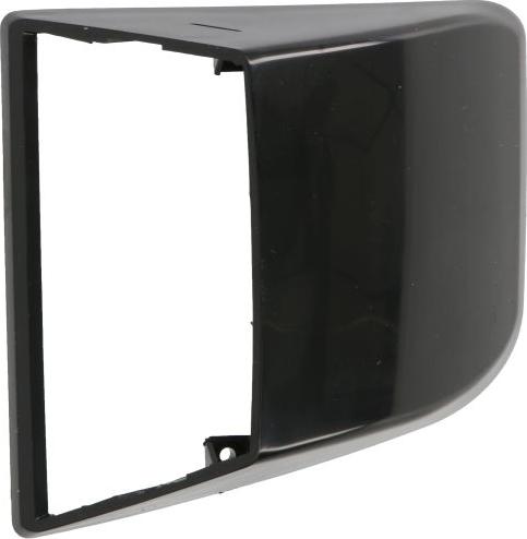 DT Spare Parts 2.24482 - Корпус, ліхтар покажчика повороту autocars.com.ua