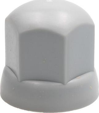 DT Spare Parts 2.65115 - Ковпачок, гайка кріплення колеса autocars.com.ua