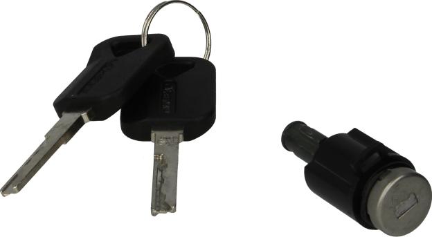 DT Spare Parts 2.72130 - Циліндр замка autocars.com.ua