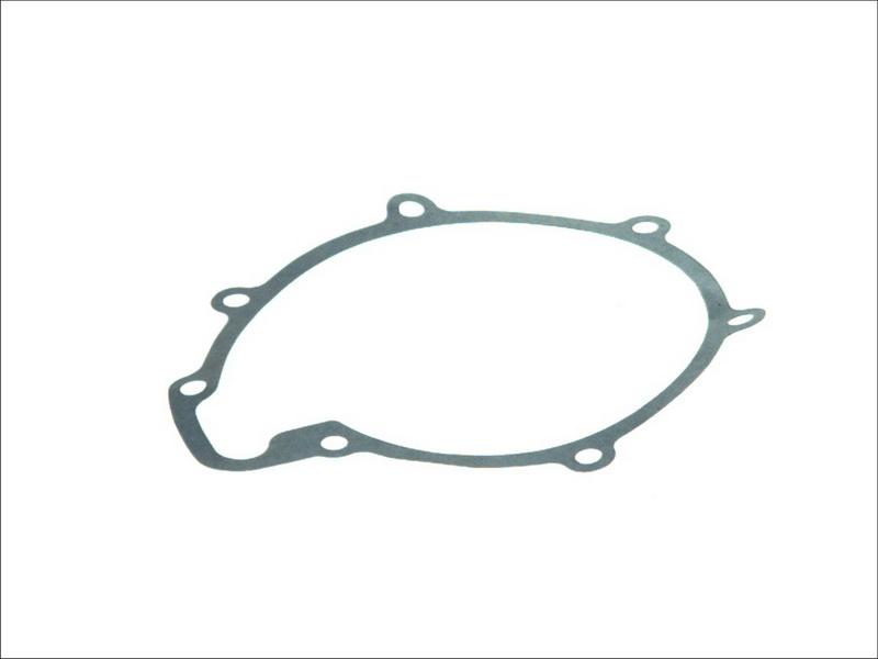 DT Spare Parts 3.16100 - Прокладка, водяний насос autocars.com.ua
