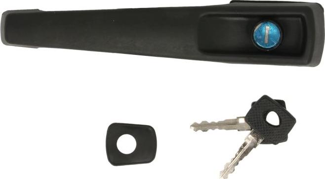 DT Spare Parts 4.60696 - Ручка двері autocars.com.ua