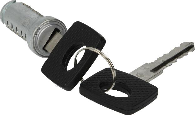 DT Spare Parts 4.62077 - Циліндр замка autocars.com.ua