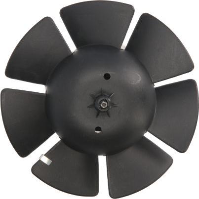 DT Spare Parts 4.62611 - Електродвигун, вентиляція салону autocars.com.ua