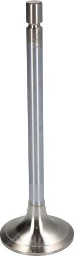 DT Spare Parts 4.62630 - Впускний клапан autocars.com.ua