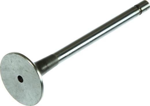 DT Spare Parts 4.62631 - Випускний клапан autocars.com.ua