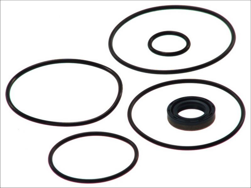 DT Spare Parts 4.90064 - Комплект прокладок, гідравлічний насос autocars.com.ua