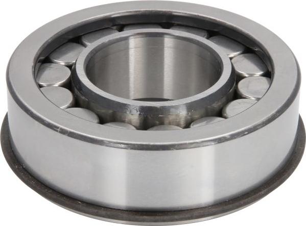 DT Spare Parts 5.30138 - Підшипник, диференційний вал autocars.com.ua