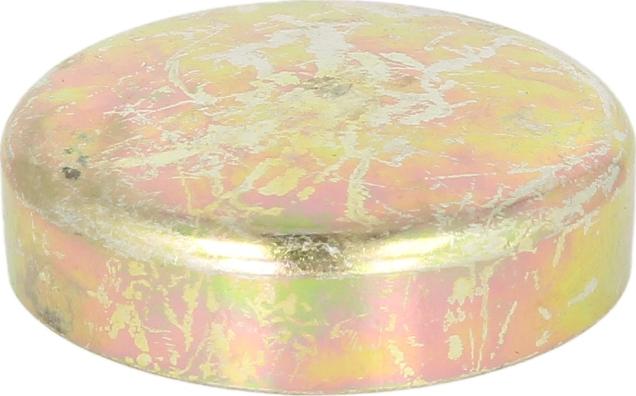 DT Spare Parts 5.40100 - Пробка антифризу autocars.com.ua