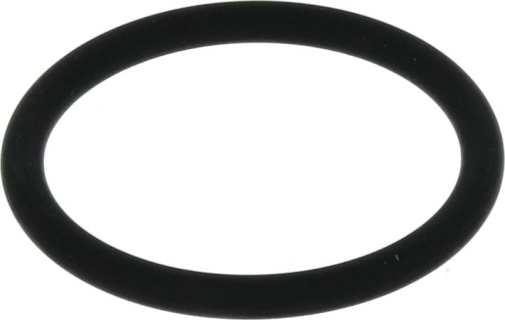 DT Spare Parts 5.45402 - Прокладка, термостат autocars.com.ua