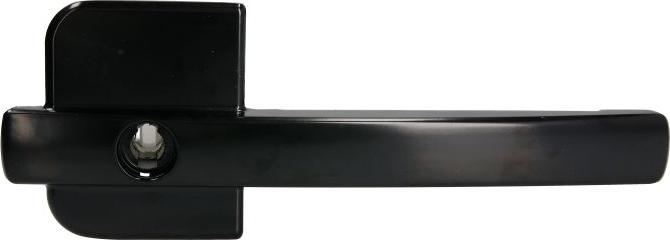 DT Spare Parts 5.60103 - Ручка двері autocars.com.ua