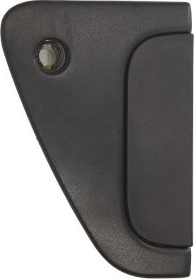 DT Spare Parts 5.60113 - Ручка двері autocars.com.ua