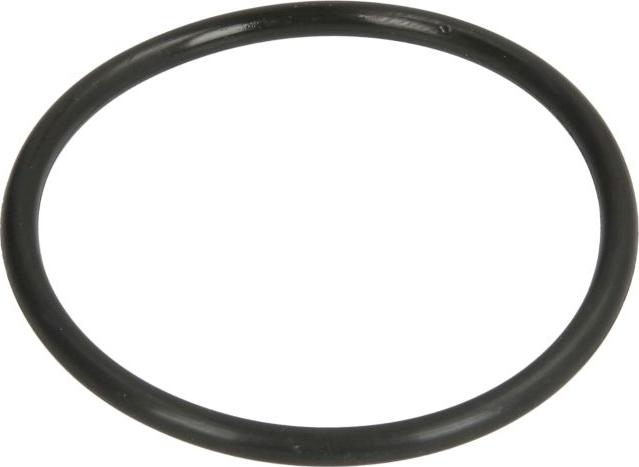 DT Spare Parts 6.30069 - Прокладка, водяний насос autocars.com.ua