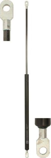 DT Spare Parts 6.70054 - Газова пружина, фронтальна кришка autocars.com.ua