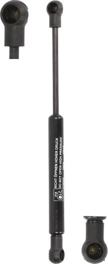 DT Spare Parts 674002 - Газова пружина, спальне місце autocars.com.ua